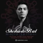 دانلود آهنگ مجید سلطانی شکسته بال